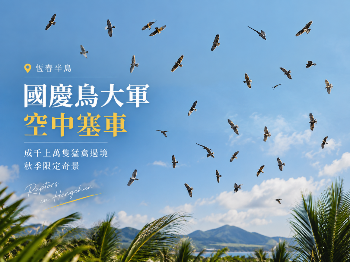 Codex 圖像 2026年9月22日 下午01_15_42