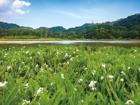 東源水上草原