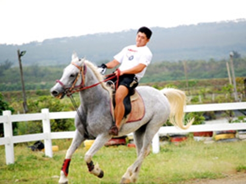 Horseback Riding